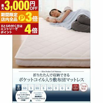 【最大3,000円OFFクーポン有！PT3倍！