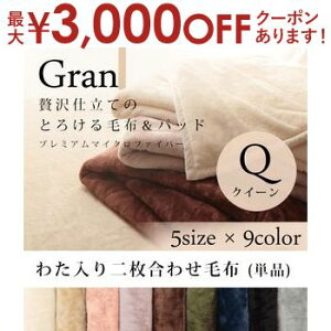 クイーン 毛布 発熱わた入り2枚合わせ | プレミアム マイクロファイバー モウフ もうふ 掛け布団 ウォッシャブル ひざ掛け 防寒 寝具 洗える 洗濯ok ブランケット 膝掛 肌掛 ビッグサイズ クイーンサイズ 冬 掛け毛布 暖かい あったか 吸湿発熱 吸湿発熱わた