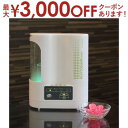 【最大3000円OFFクーポン※スーパーSALE】送料無料 フィトンエアー フィトンチッドジャパン 空気サプリメント 空気清浄器 空気清浄機 ウイルス対策 脱臭...