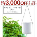 【最大3000円OFFクーポン※スーパーSALE】テラリウム ハンギング Φ17×15cm | ハンギング テラリウム 植木鉢 インテリア ポット ガーデニング...