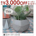 【最大3000円OFFクーポン※スーパーSALE】鉢 19×19×13cm | 植木鉢 鉢 鉢植え ポット ガーデニング よせ植え シンプル モダン