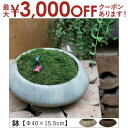 【最大3000円OFFクーポン※スーパーSALE】鉢 Φ40×15.5cm | 植木鉢 鉢 鉢植え ポット ガーデニング よせ植え シンプル モダン