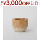 【最大3000円OFFクーポン※スーパーSALE】マンゴーポット 2個セット | プランター サイズ ガーデンポット ポット 鉢 植木鉢 プランター 植物 ガー...