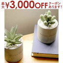 【最大3000円OFFクーポン※お買い物マラソン】リードディフューザー | リードディフューザー リード ディフューザー アロマ アロマ デュフューザー ディス...