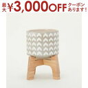 【最大3000円OFFクーポン※スーパーSALE】ガーデンポット | ガーデン用品 園芸用品 庭 ガーデンポット ポット プランター 植物 鉢 植木鉢 ガーデニ...