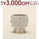【最大3000円OFFクーポン※スーパーSALE】ガーデンポット | ガーデン用品 園芸用品 庭 ガーデンポット ポット プランター 植物 鉢 植木鉢 ガーデニ...