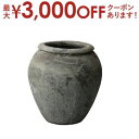 【最大3000円OFFクーポン※スーパーSALE】送料無料 ガーデンポット | ガーデン用品 インテリアグリーン 花器 プランター 暮らし 彩り おしゃれ カフ...