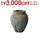 【最大3000円OFFクーポン※スーパーSALE】送料無料 ガーデンポット | ガーデン用品 インテリアグリーン 花器 プランター 暮らし 彩り おしゃれ カフ...
