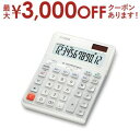 【最大3000円OFFクーポン※スーパーSALE】カシオ 電卓 DE-12D-WE-N | CASIO