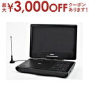 【最大3000円OFFクーポン※お買い物マラソン】ダイニチ電子 ポーブルDVDプレーヤー WPDT1091 | DVDプレーヤー