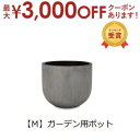 【最大3000円OFFクーポン※お買い物マラソン】ガーデン用ポット M | 鉢 プランター 植木鉢 ディスプレイ インテリア ガーデニング ガーデン雑貨 ナチュ...