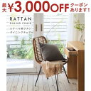【最大3000円OFFクーポン※お買い物マラソン】ラタンチェア 完成品 肘なし ダイニング パーソナルチェア デスクチェア メッシュ かわいい おしゃれ スチー...