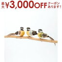 【最大3000円OFFクーポン※お買い物マラソン】園芸 ガーデン アクセサリ リトルバード アソート accessory ガーデン雑貨 ガーデン ガーデンアクセ...