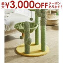 【最大3000円OFFクーポン※お買い物マラソン】サボテンをイメージしたキャットタワー | キャットタワー ハンモック ネコ ねこ 猫 スリム 据え置き おしゃ...