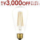 【スーパーセール限定!最大3,000円クーポン有!店内全品P2倍!】LED | LEDエジソン球L LED エジソン球L クリア おしゃれ ライト 電球 レトロ エジソン球 照明 LED電球 アンティーク 玄関 リビング ダイニング 北欧 店舗 照明器具 インテリア 新生活 一人暮らし 口金 カ