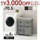 【最大3000円OFFクーポン※お買い物マラソン】ランドリー 2列タイプ 5杯タイプ おしゃれ シンプルデザイン 大容量収納 省スペース対応 衣類 小物整理に最...