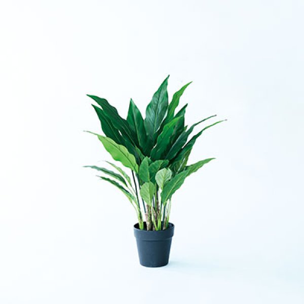 乐天商城 - スパティフィラム ポット 60 ／ 造花 フェイクグリーン インテリア 観葉植物 人工植物 おしゃれ イミテーション