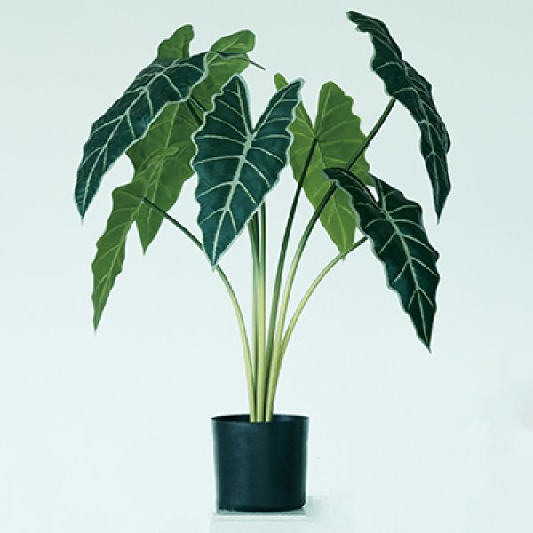樂天商城 - プランター アロカシア 丸型 陶器 ガーデニング 木 屋外 室内 おしゃれ 観葉植物 野菜栽培 フラワーポット 多肉植物 水はけ 底穴付き 軽量 デザイン シンプル ベランダ 庭 園芸用品 モダン 植物育成 土入れ替え グリーンインテリア ガーデン用品 育て方 初心者 丈夫 スペース