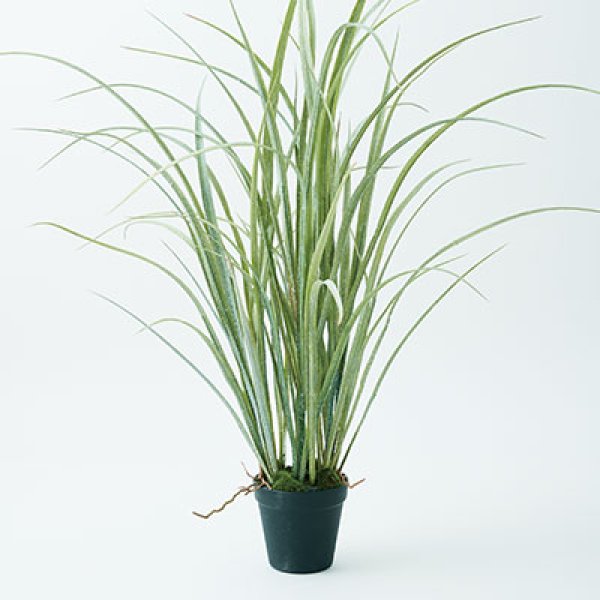 乐天商城 - プランター グラス 丸型 陶器 ガーデニング 植木鉢 屋外 室内 おしゃれ 観葉植物 野菜栽培 フラワーポット 多肉植物 水はけ 底穴付き 軽量 デザイン シンプル ベランダ 庭 園芸用品 モダン 植物育成 土入れ替え グリーンインテリア ガーデン用品 育て方 初心者 丈夫 スペース