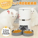 【楽天3冠獲得】レビュー数100件突