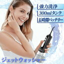 PECHAM ジェットウォッシャー 強力 【最強配送対応】 ジェットウォッシャー USB充電式 携帯型 歯間ジェット洗浄 2色展開 クリア ブルー