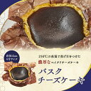 バスクチーズ 冷凍庫で1か月保存可能 移動販売 監修 アンジュブラン 冷凍ケーキ アイス ケーキ 冷凍スイーツ 洋菓子 スイーツギフト 家庭用 ギフト