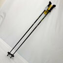 【在庫処分】ROCES ケブラー スキーポール カーボングラファイト 120cm スキーストック スキー用品