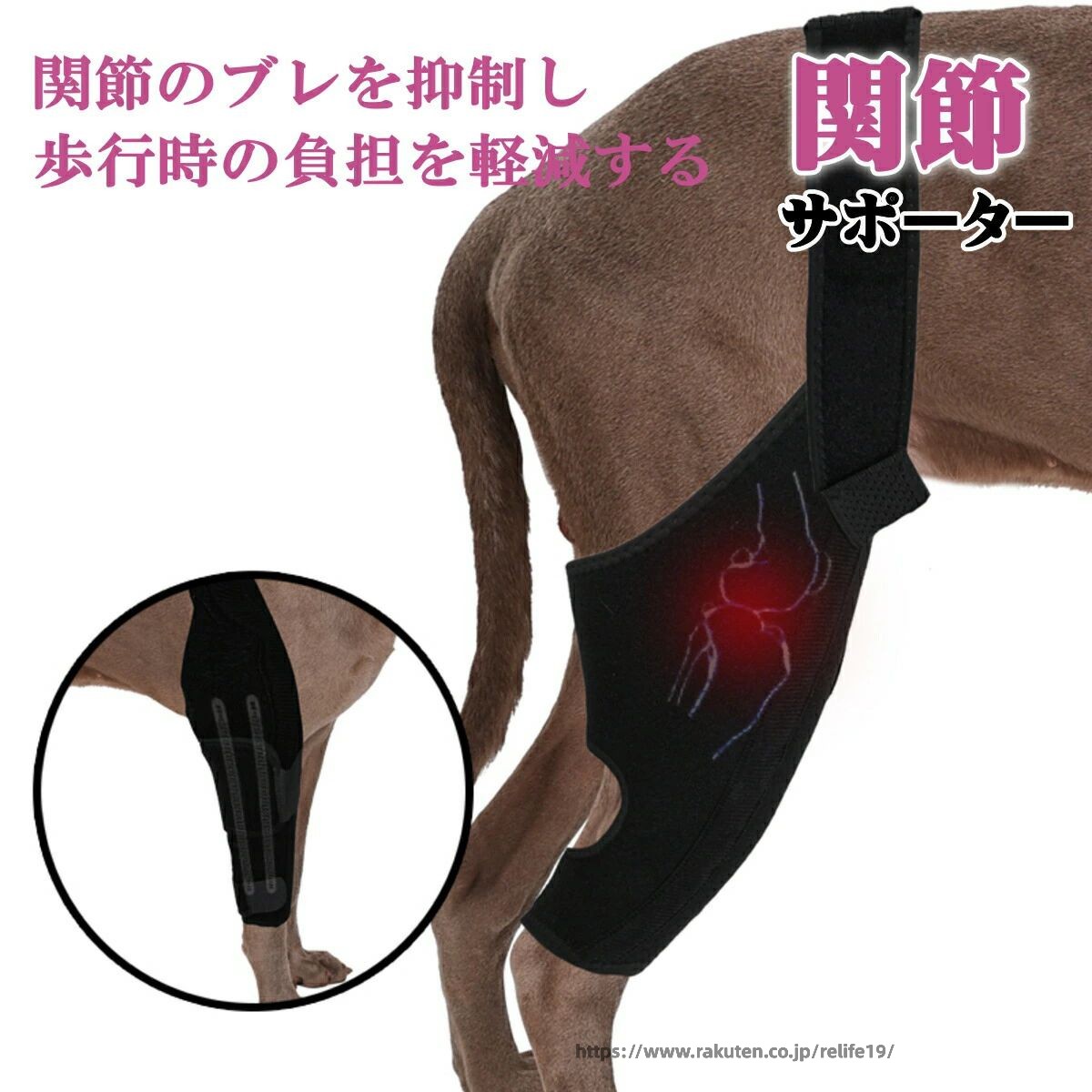 犬 サポーター 後ろ足 前足 左右兼用 スプリング内蔵 小型犬 中型犬 大型犬 関節サ...