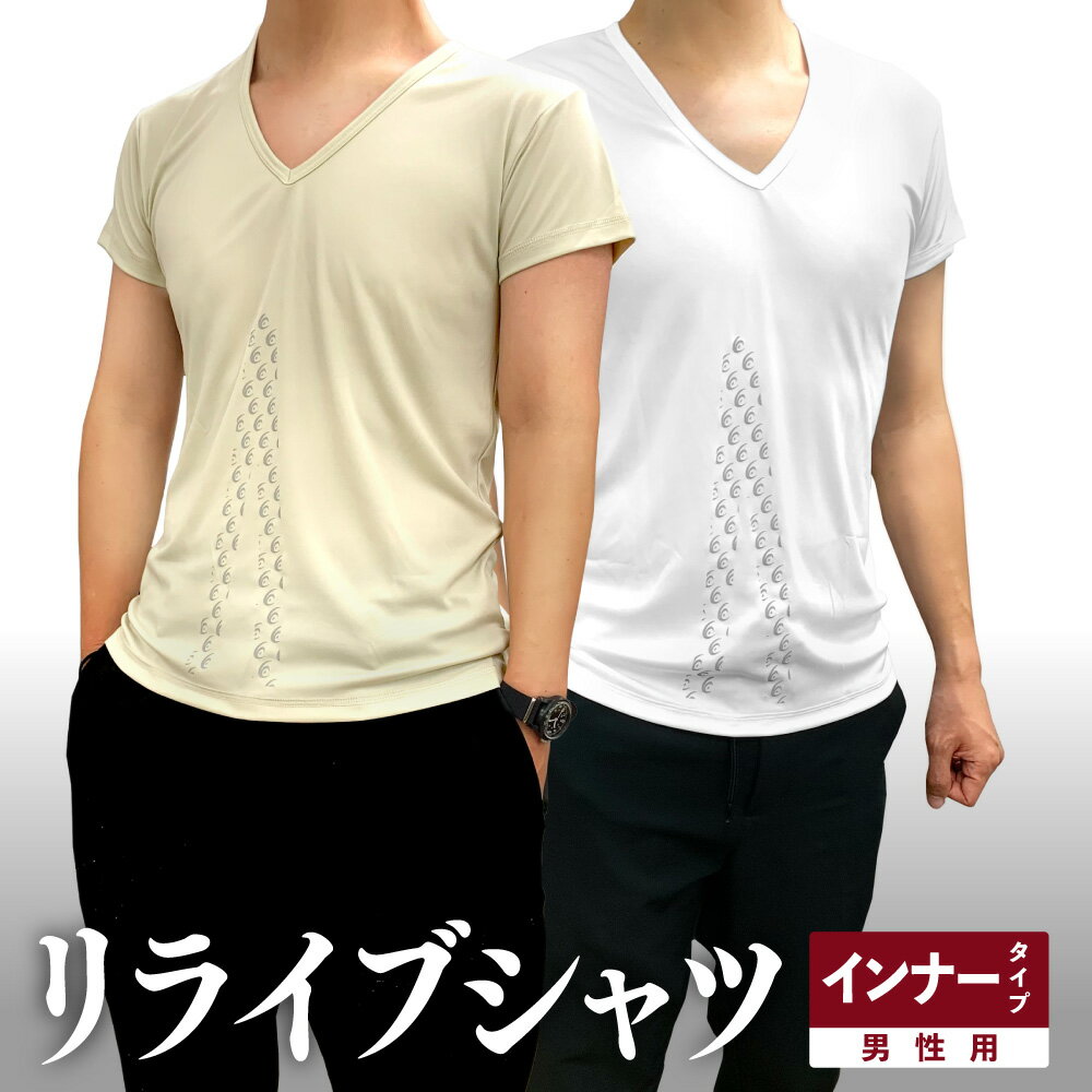 メンズ 綿100% Vネック Tシャツ 3L・4L (大きいサイズ 男性 紳士 半袖 下着 肌着 インナー 抗菌 防臭 3L 4L 白 黒 グレー V首)