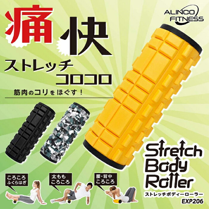 ���륤�� ALINCO ���ȥ�å��ܥǥ��������顼 EXP206 ������������ �ȥ졼�˥�