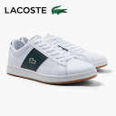 RXe LACOSTE SM00784 CARNABY EVO CGR 2226 SMA Y [JbgXj[J[ zCg O[ C JWA 