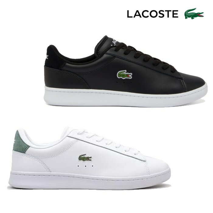 Rakuten - ラコステ LACOSTE 48SMA0011 CARNABY SET 224 1 SMA メンズ スニーカー レザー シンプル カジュアル 靴