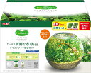 ジェックス MeGreen 新鮮な水草付き グラスアクアスフィアセット たっぷりの水草(別送)が届く水槽セット 砂付き 幅22×奥行22×高さ18.5cm 約4...