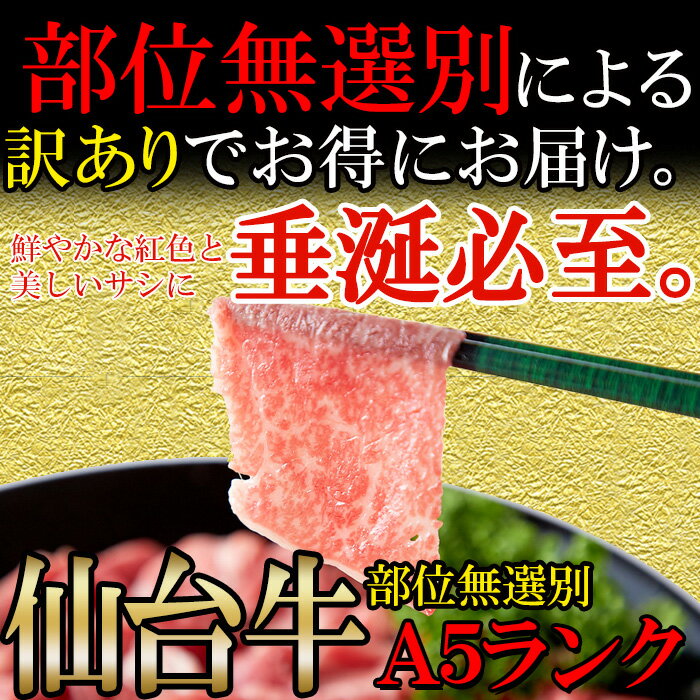 送料無料 A5ランクの絶品お肉☆【無選別】仙台牛切り落とし500g 有名ブランド牛「仙台牛」のA5ランク品を部位無選別切り落としでどっさりお得にお届け!!【代金引換不可】【産地直送】