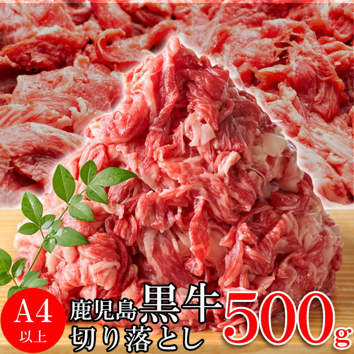 送料無料 とろけるような食感?鹿児島黒牛A4ランク以上切り落とし500g 牛丼、肉じゃが、炒め物など色々な料理にご使用頂ける、オールラウンドのお肉です。【代金引換不可】【産地直送】