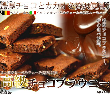 【送料無料】【訳あり】高級チョコブラウニーどっさり1kg【代金引換不可】【産直スウィーツ】