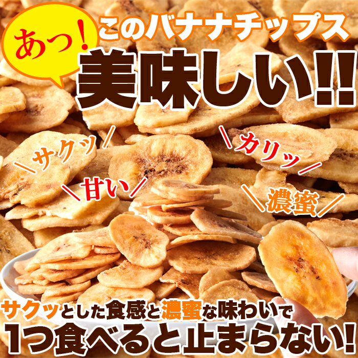 サクっと軽く甘くて美味しい!!【お徳用】濃蜜バナナチップス500g 保存に便利なチャック付き袋に入れてお届けします！【代金引換不可】【産直】 2