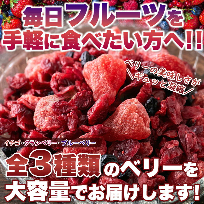 ベリーの美味しさがギュッと凝縮!【お徳用】ミックスベリー3種500g 厳選した3種の果実!!クセになる爽やかな酸味のベリーのドライフルーツをたっぷり500gお届けします!【代金引換不可】【産直スイーツ】 2