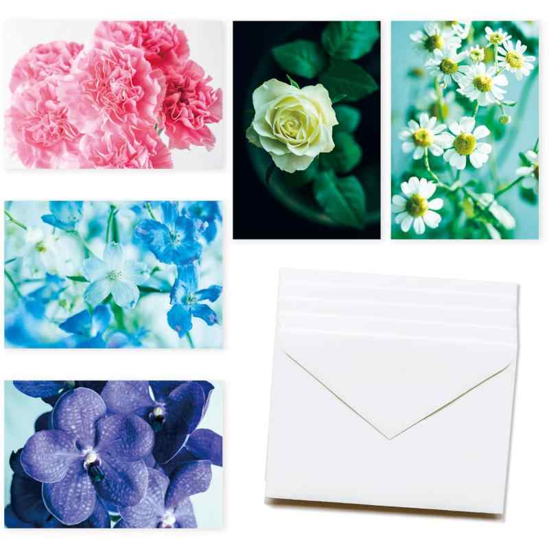 Fragsphere �פ���̤� �֤Υݥ��ȥ����� �����դ� 5���� 5�祻�å� �ϥ��������� 10��14.8cm ������ ��å����������� ���꡼�ƥ��󥰥���...