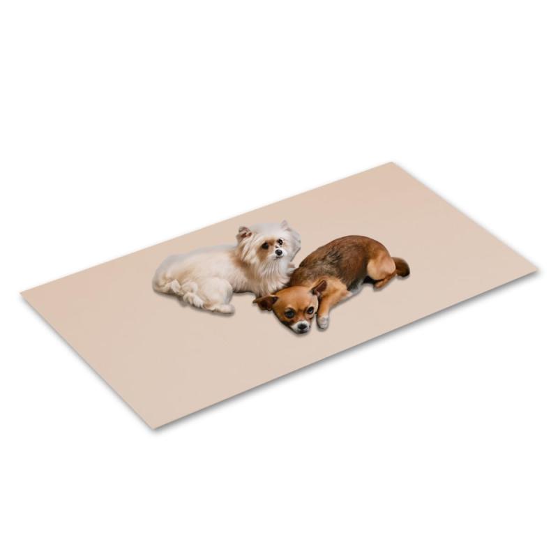 ottostyle.jp 抗菌ペットマット 滑り止めマット 高密度PVC製 110cm×220cm 犬 猫 ペット用品 抗菌 防臭 クッション性 衝撃吸収 床保護 傷防止 ノンスリップ加工 敷きパッド 小型犬 シニア犬 ケガ予防