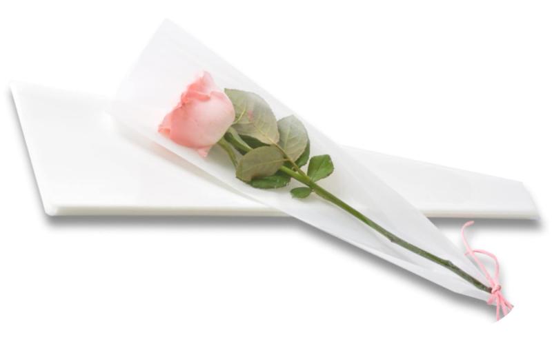 clowin ����� ����� ��åԥ󥰥Хå� �ե� ������ �֡��� ��åԥ� ������ �� ���ե� 50�� ��