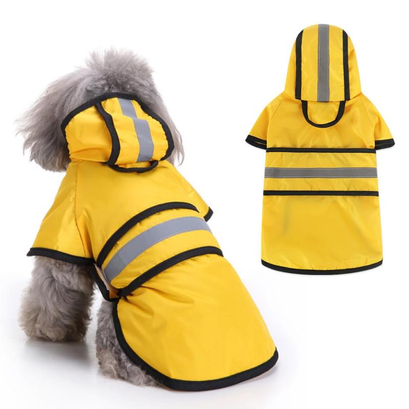 Jimjis �� �쥤�󥳡��� �ɿ�ȿ���� �� ���å� �ɿ� ���� �̵� ˹���� ������ �淿�� �緿�� �Ƹ� �ѿ��� �߱��к����� ���� ��æ��ñ