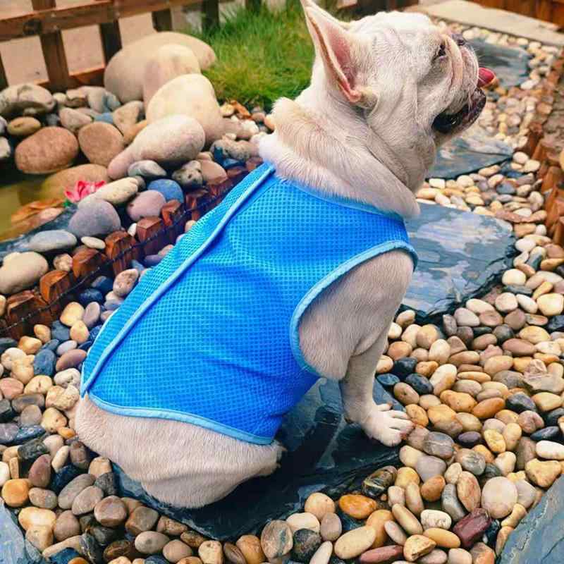ペット服 犬用 冷却ベスト クールベスト 接触冷感 通気性 暑さ対策 熱中症対策 散歩 お出かけ 夏用 小型犬 中型犬 男の子 女の子