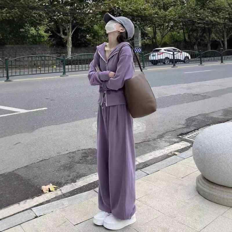 樂天商城 - レディース 秋冬 セットアップ 韓国風 ルーズ 人気 スウェット ジップ ワイドパンツ 紫 深灰 緑 ピンク ライトグレー ブラック ポリエステル スパンデックス 気質 通勤 快適 休闲 長袖 長ズボン 単色 ジップ 切り替え 加工