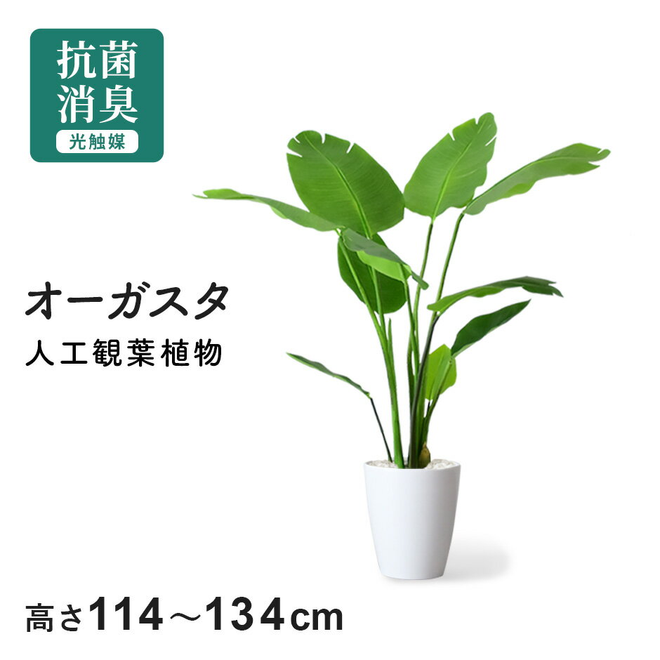 【クーポン20%off 26日00時〜26時】 人工観葉植物 お手入れ不要 完成品 かんたん設置 フェイクグリーン フェイクプラント 室内用 鉢付き 置くだけ 観葉植物 造花 光触媒 5号 鉢 水やり不要 インテリア おしゃれ お祝い 誕生日 お返し コンパクト スリム オーガスタ