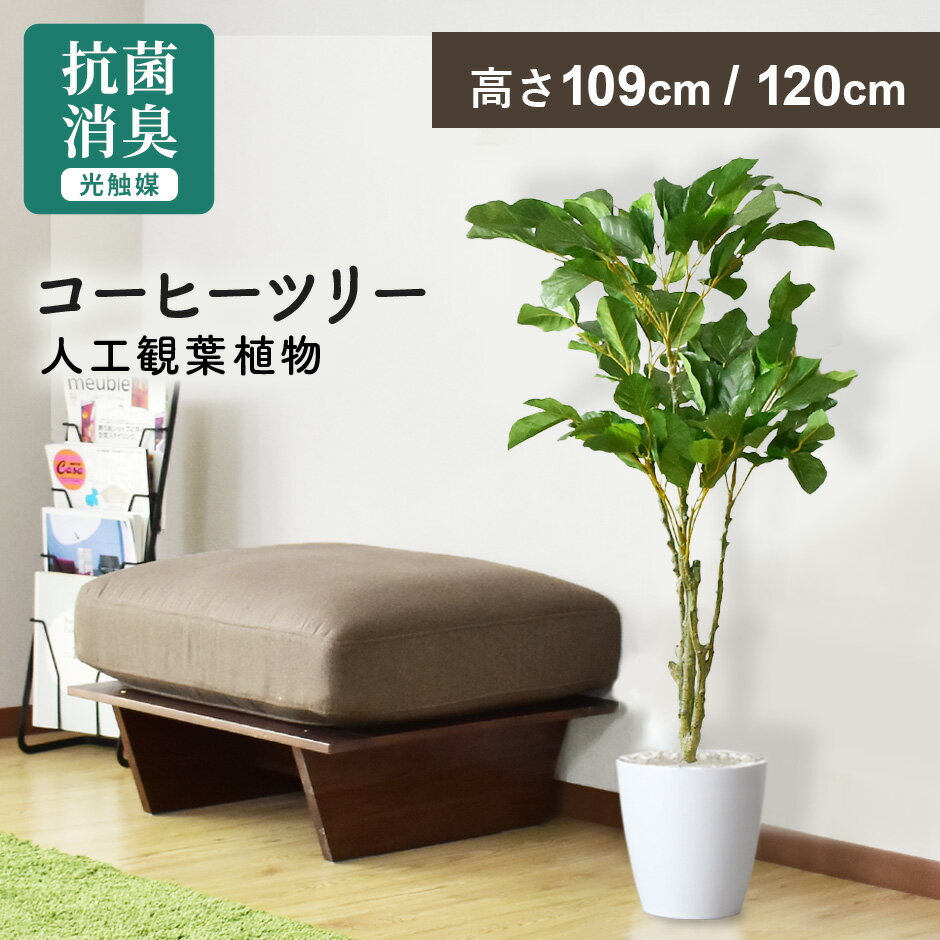 人工観葉植物 お手入れ不要 完成品 かんたん設置 フェイクグリーン フェイクプラント 室内用 鉢付き 置くだけ 観葉植物 コーヒーの木 インテリアグリーン 造花 光触媒 水やり不要 インテリア おしゃれ 誕生日 結婚 父 母 お祝い 贈り物 北欧 モダン コーヒーツリー ドリス