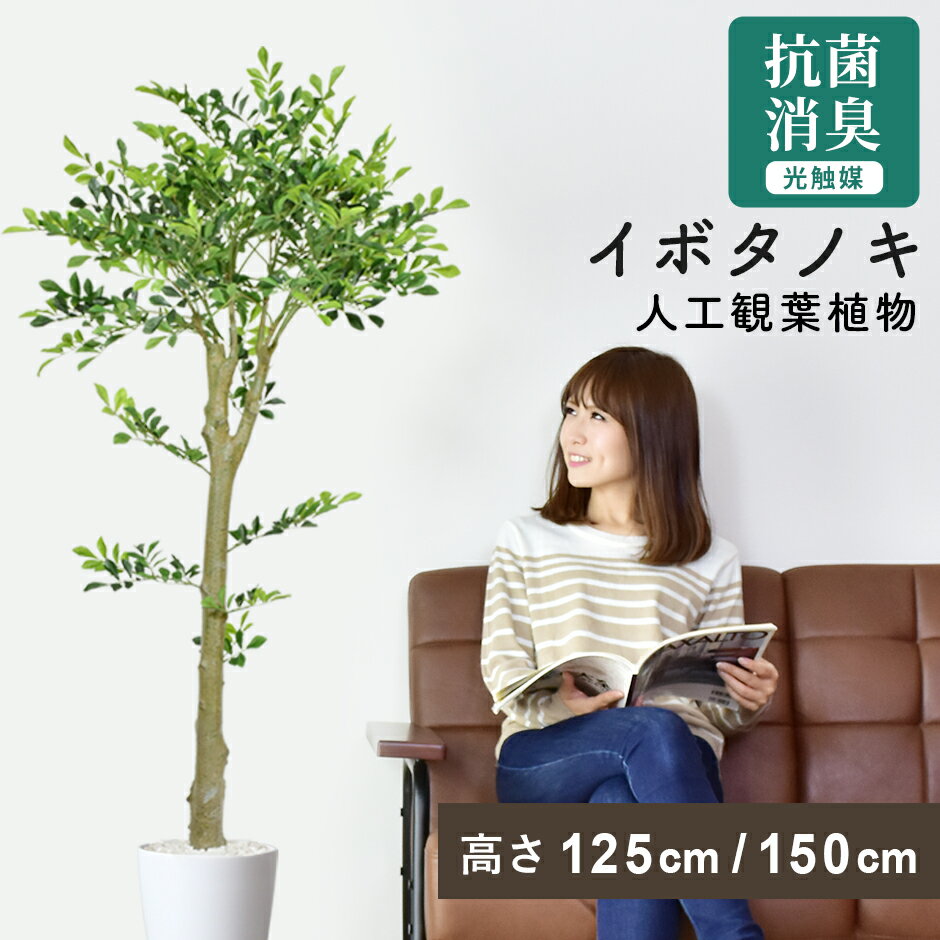 【クーポン20%off 1/15 00時〜26時】 人工観葉植物 大型 高さ150 お手入れ不要 完成品 かんたん設置 フェイクグリーン フェイクプラント 室内用 鉢付き 置くだけ 観葉植物 リビング 人工植物 インテリアグリーン 造花 光触媒 5号 鉢 水 イボタノキ150cm ドリス
