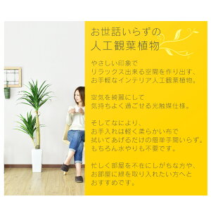 人工観葉植物 観葉植物 新生活応援 楽天スーパーsale 造花 ドラゴンツリー 人工観葉植物 人工観葉植物 光触媒 水やり不要 24時 ドラゴンツリー オフクーポン 観葉植物 3 8 おしゃれ 光触媒 12時 水やり不要 水やり不要 送料無料 Remembrance Doris室内 人工観葉植物 観葉植物 新生活応援 楽天スーパーsale 造花 ドラゴンツリー 人工観葉植物 人工観葉植物 光触媒 水やり不要 24時 ドラゴンツリー オフクーポン 観葉植物 3 8 おしゃれ 光触媒 12時 水やり不要 水やり不要 送料無料 Remembrance Doris室内