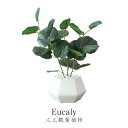 観葉植物 人工観葉植物 フェイクグリーン ユーカリ