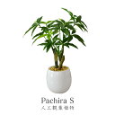 【クーポン10%オフ 8/24 0時-8/25 24時】 パキラS(高さ34〜54) 観葉植物 人工観葉植物 フェイクグリーン パキラS